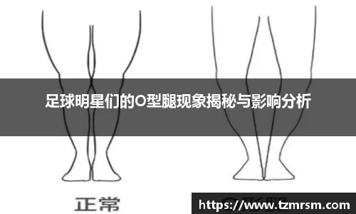 3003新葡的京集团网址