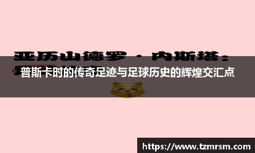 3003新葡的京集团官网