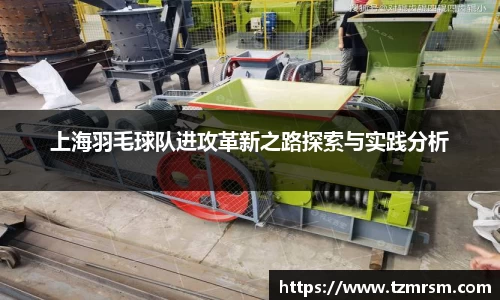 上海羽毛球队进攻革新之路探索与实践分析