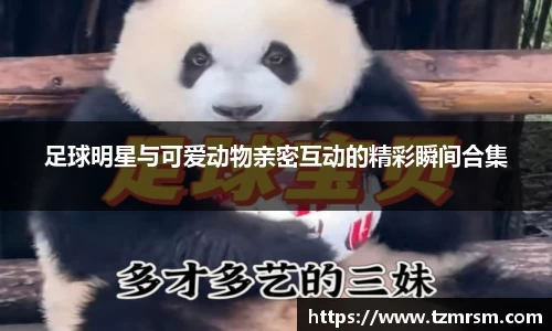 3003新葡的京集团